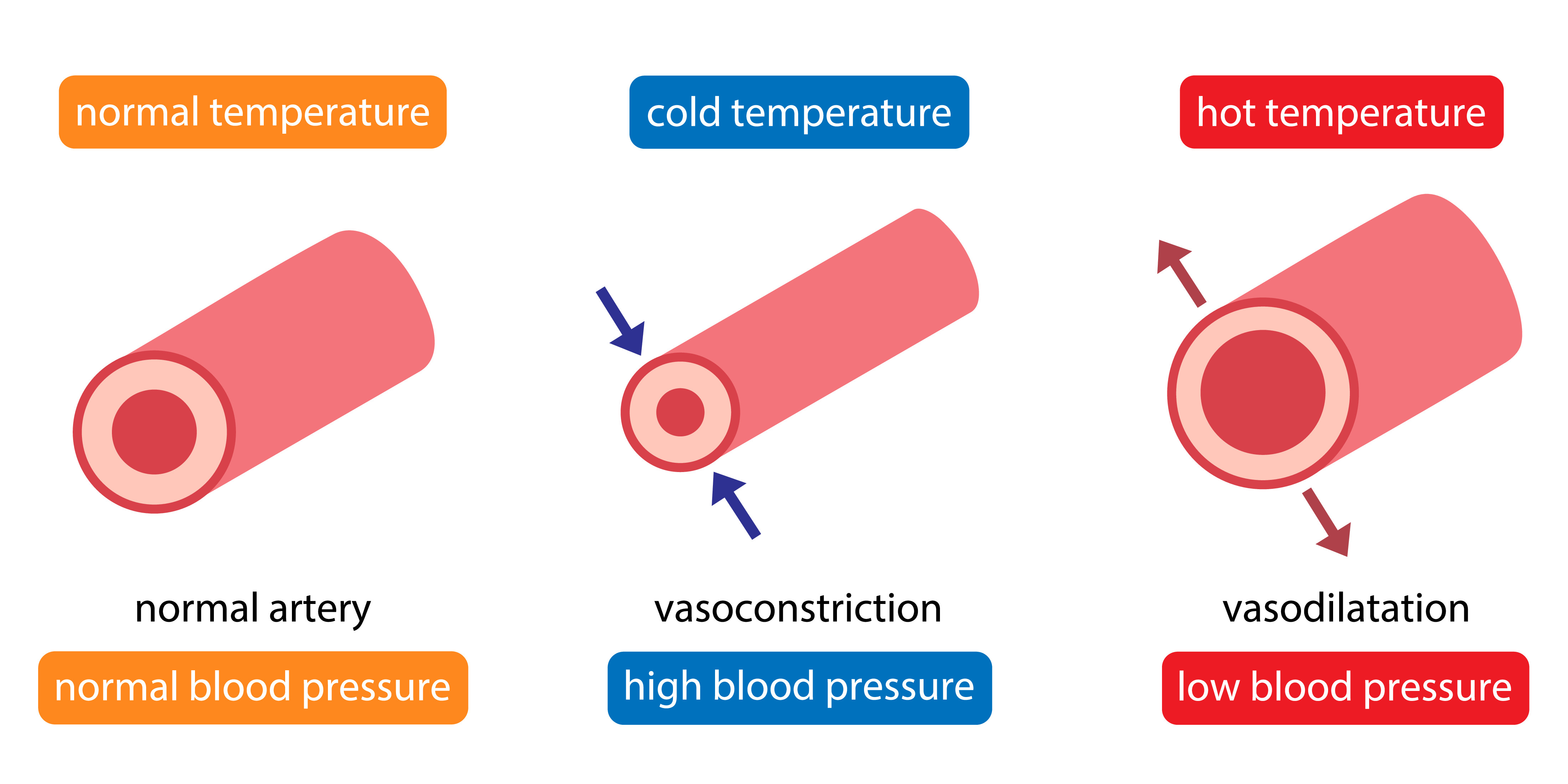 shutterstock_2075570227