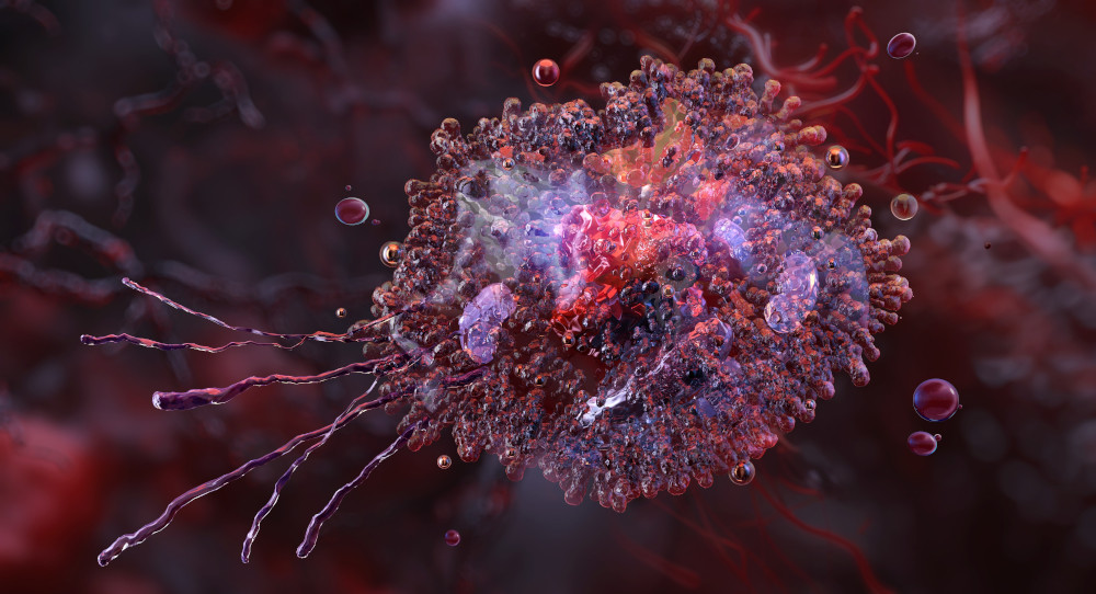 shutterstock_2551201781Resize