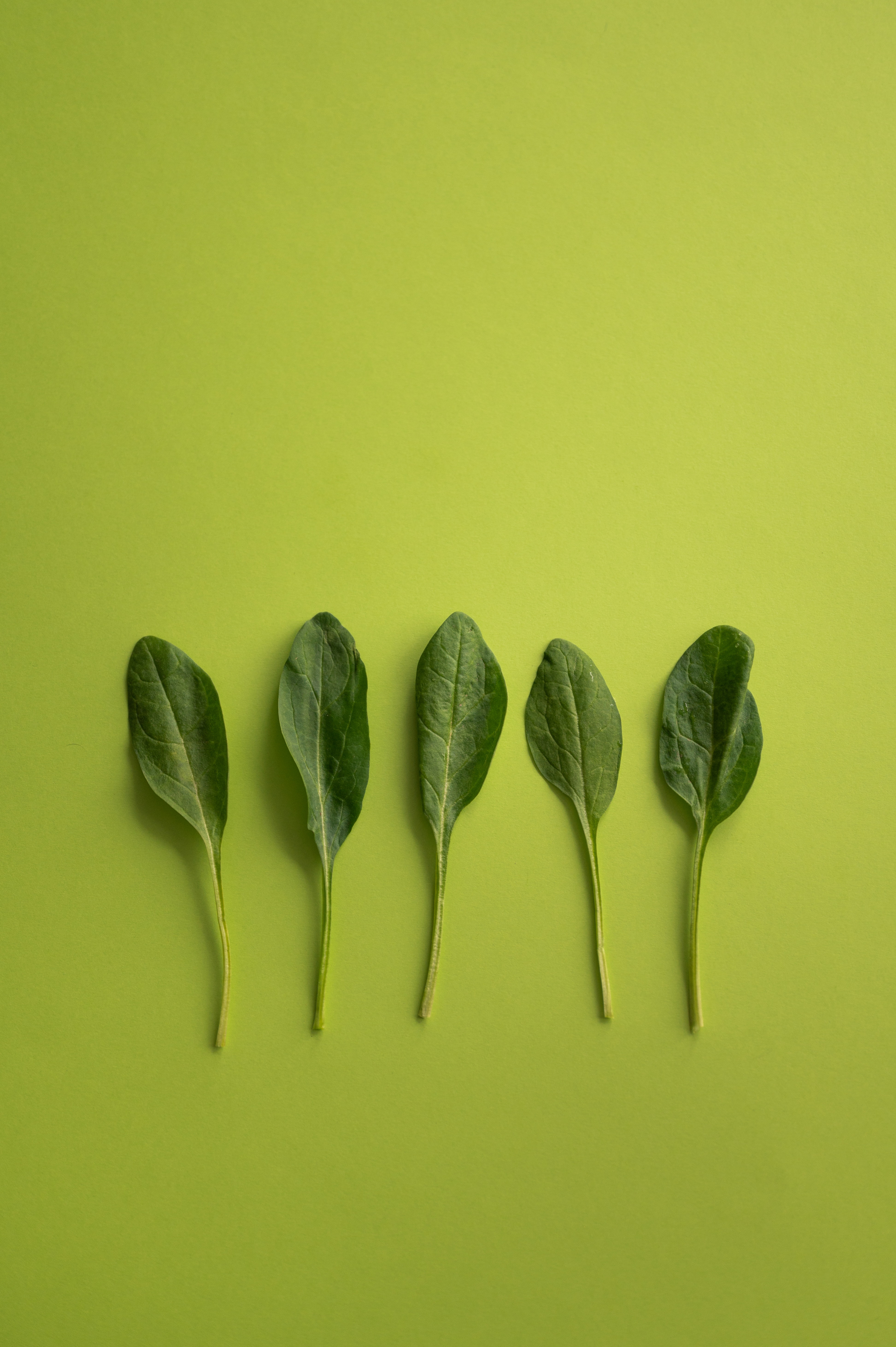 Stock image of five pieces of spinach laid out on a green surface.